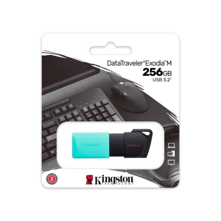 USB флеш 256GB Kingston DTXM/256GB USB3.2